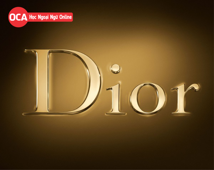 Dior Logo  LogoDix